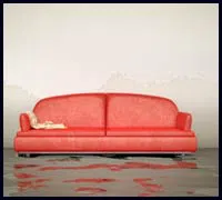 Greenacres Restoration Expert Greenacres, FL 561-336-5819 Greenacres Restoration Expert Greenacres, FL 561-336-5819