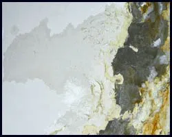 Greenacres Restoration Expert Greenacres, FL 561-336-5819 Greenacres Restoration Expert Greenacres, FL 561-336-5819 - water-leaks-side